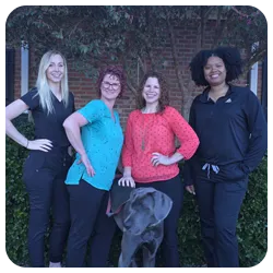 Chiropractor Pittsboro NC Jenni Sherwood With Team